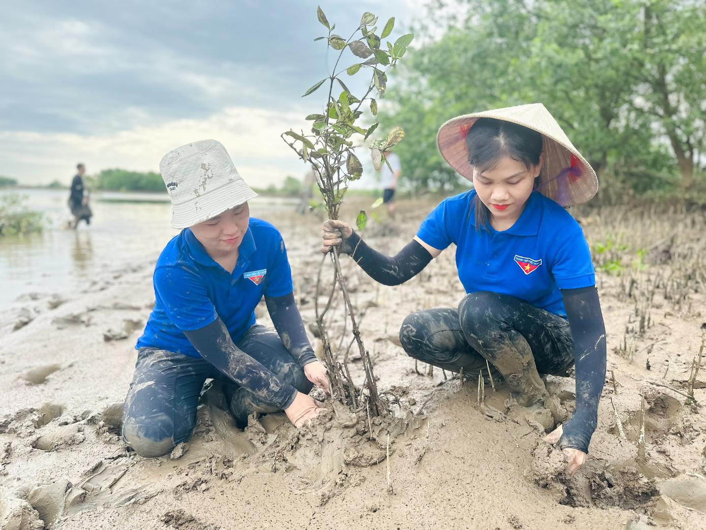 Trước đây, khu vực đất này là thành bãi bồi trống, không có cây xanh. Vị trí này người dân thường xuyên ra bắt ốc, bắt nghêu, nhưng nay đang dần được phủ xanh…