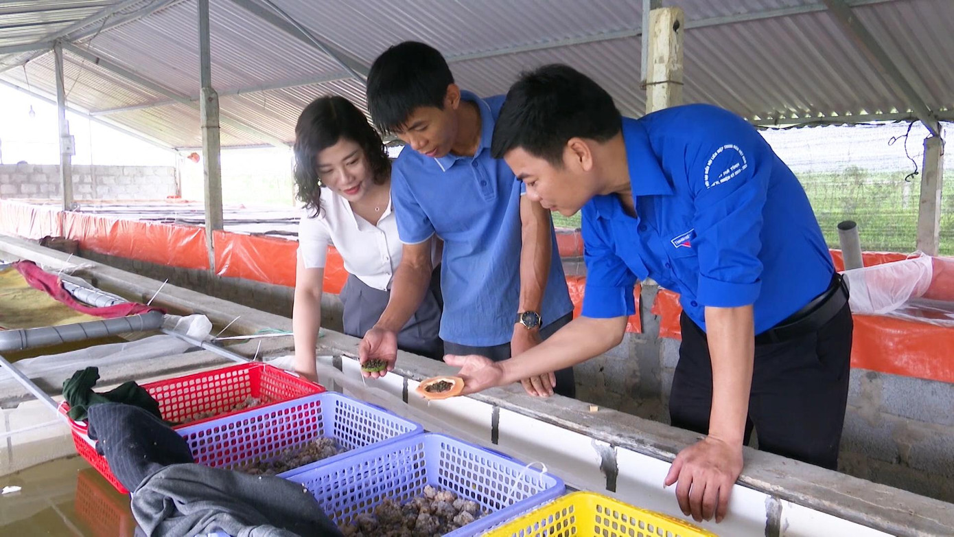 Từ mô hình nuôi ốc này nhiều thanh niên địa phương đã đến học hỏi kinh nghiệm để nhân rộng mô hình.