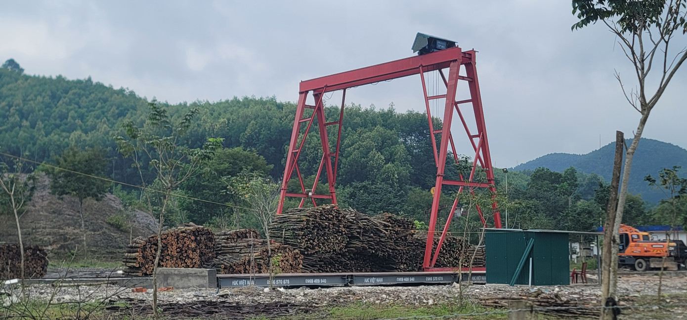 Nhiều điểm thu mua keo, tràm tự phát trên dọc đường Hồ Chí Minh đoạn qua huyện Vũ Quang. Nhiều điểm thu mua keo, tràm tự phát trên dọc đường Hồ Chí Minh đoạn qua huyện Vũ Quang.