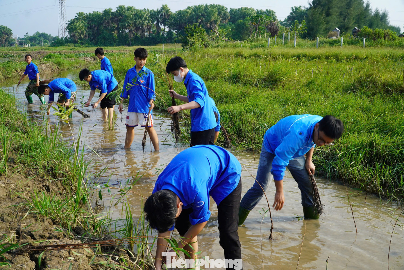 Anh Nguyễn Phi Khanh - Bí thư Thành Đoàn Hà Tĩnh cho biết, trong buổi sáng triển khai lễ phát động có hơn 120 người gồm lực lượng thanh niên, người dân địa phương cùng tham gia. Với tinh thần xung kích tình nguyện của tuổi trẻ, đây là việc làm nhằm tạo môi trường cho thanh niên cống hiến, hướng đến xây dựng hệ sinh thái xanh trong thành phố. Từ đó lan tỏa tinh thần, ý thức bảo vệ môi trường, bảo vệ nguồn nước đến mọi người dân.