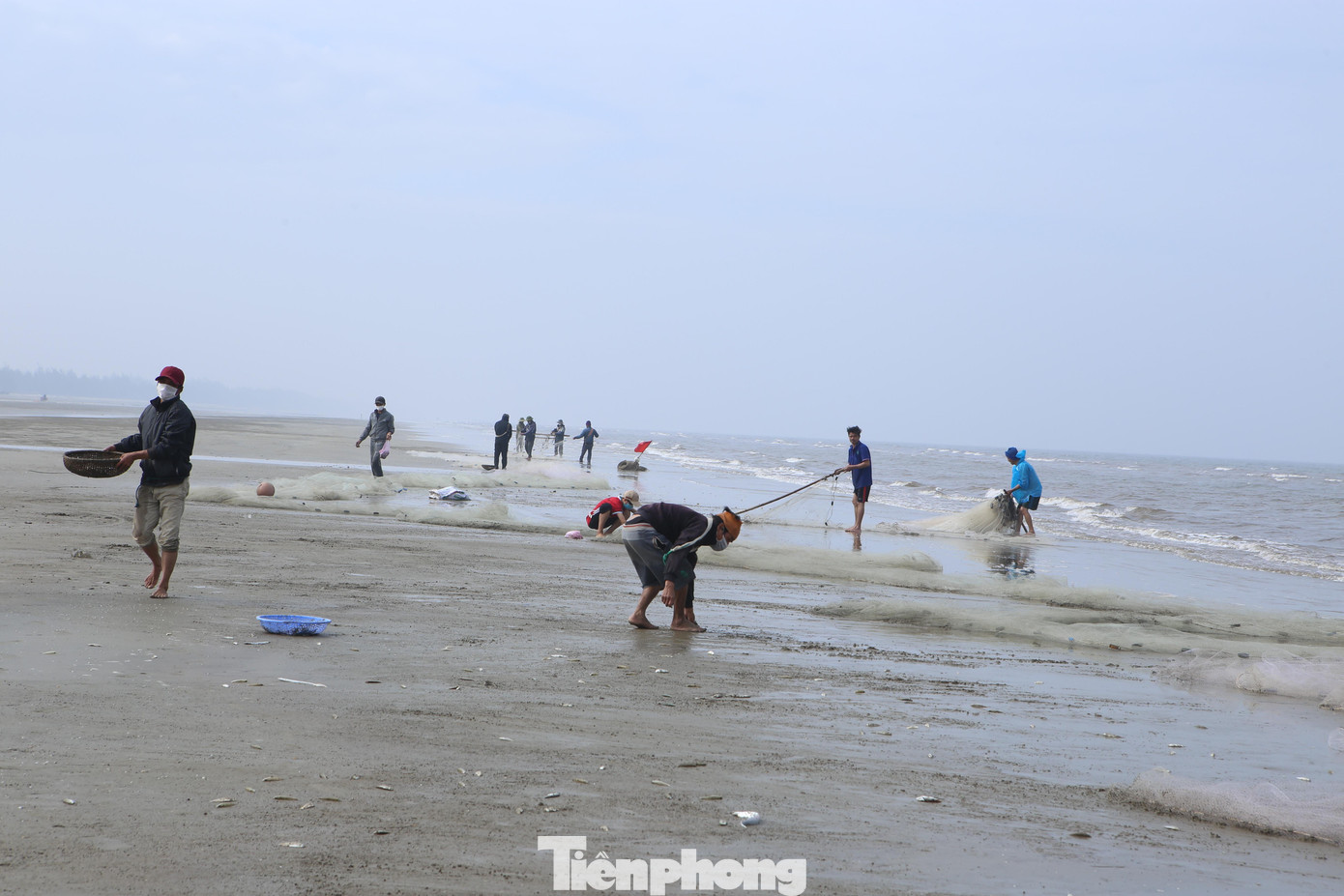 Theo ngư dân, có những mẻ lưới thu về hơn 1 tấn cá đù, cá trích.