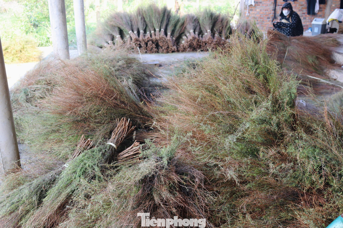 Vì làm lâu năm nên bây giờ cột chổi đã quen tay, mỗi ngày cột đều đều cũng hơn trăm cái chổi, không cần đong đếm số cành trện mà cảm thấy vừa tay thì cột lại.