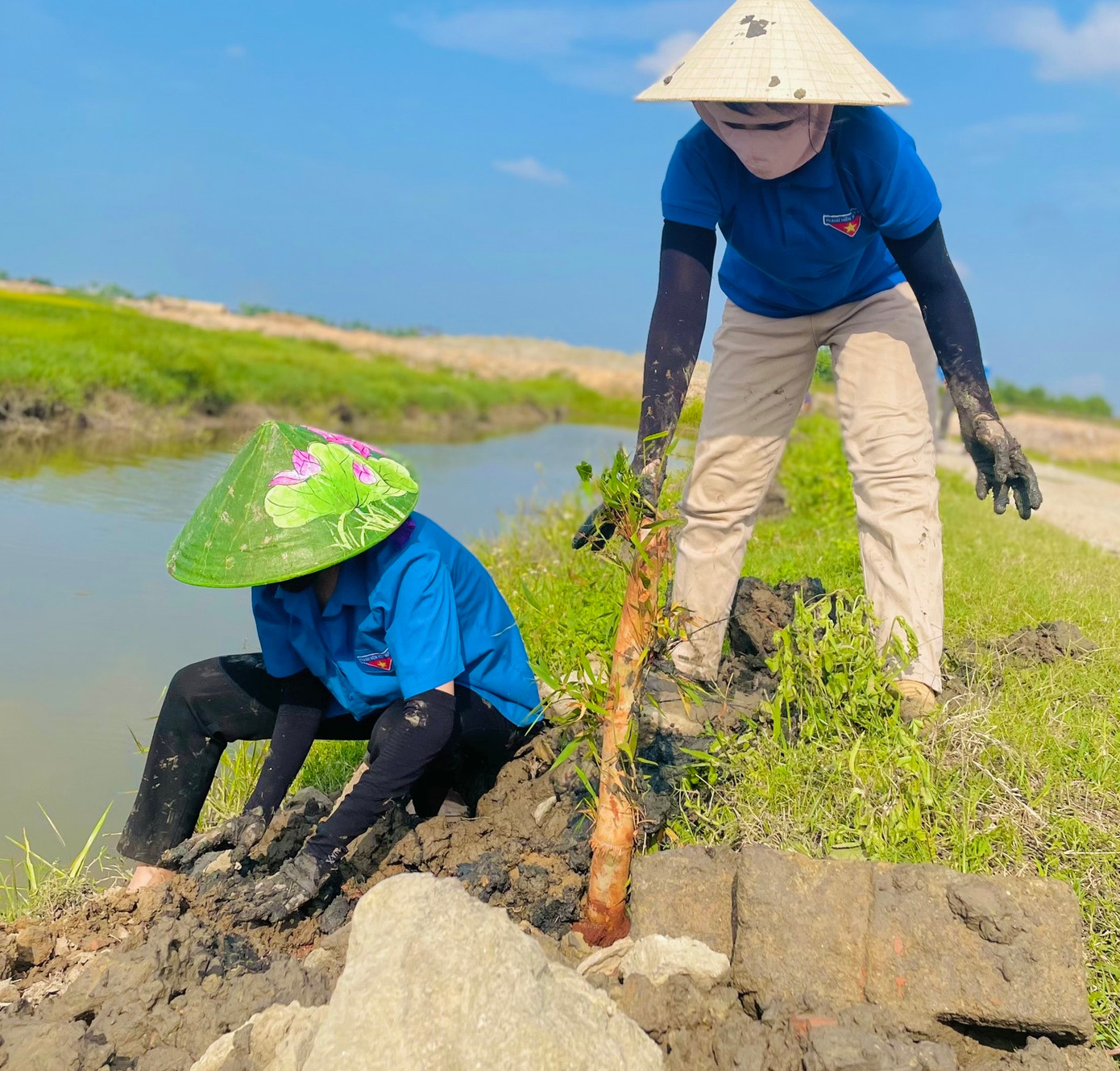 Phong trào trồng cây xanh được các cấp bộ đoàn toàn tỉnh triển khai sôi nổi bằng nhiều hoạt động thiết thực. Hoạt động này đã góp phần bảo vệ môi trường cũng như xây dựng cảnh quan xanh, sạch, đẹp tại các khu dân cư, bảo vệ môi trường.