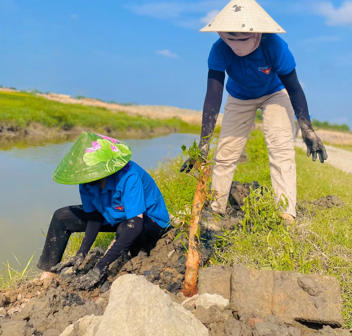 Phong trào trồng cây xanh được các cấp bộ đoàn toàn tỉnh triển khai sôi nổi bằng nhiều hoạt động thiết thực. Hoạt động này đã góp phần bảo vệ môi trường cũng như xây dựng cảnh quan xanh, sạch, đẹp tại các khu dân cư, bảo vệ môi trường.
