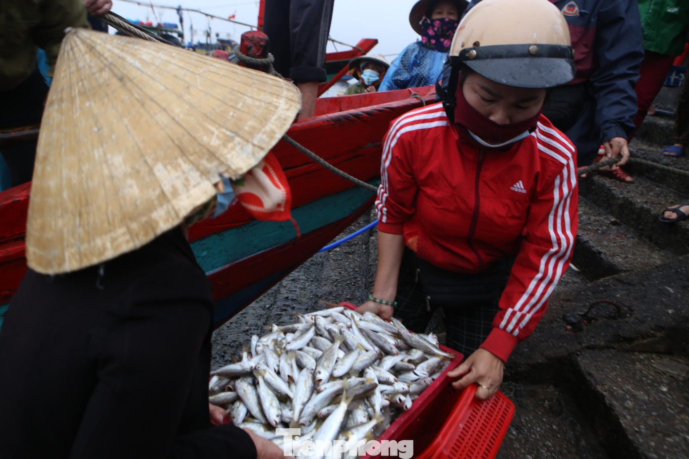 Do ảnh hưởng của gió mùa, biển động khiến ngư dân gặp khó khăn trong việc ra khơi, đánh bắt hải sản. Trước ngày nhiệt độ xuống thấp đến 11 độ C, các ngư dân đã di chuyển thuyền vào đất liền để tránh trú do thời tiết báo biển động.