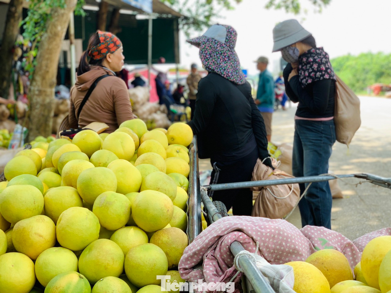 Bưởi Phúc Trạch lâu nay được xem là cây trồng chủ lực, phát triển kinh tế chính của người dân huyện Hương Khê. Không chỉ xóa đói giảm nghèo, loài quả đặc sản này còn giúp nhiều gia đình trở nên khá giả.