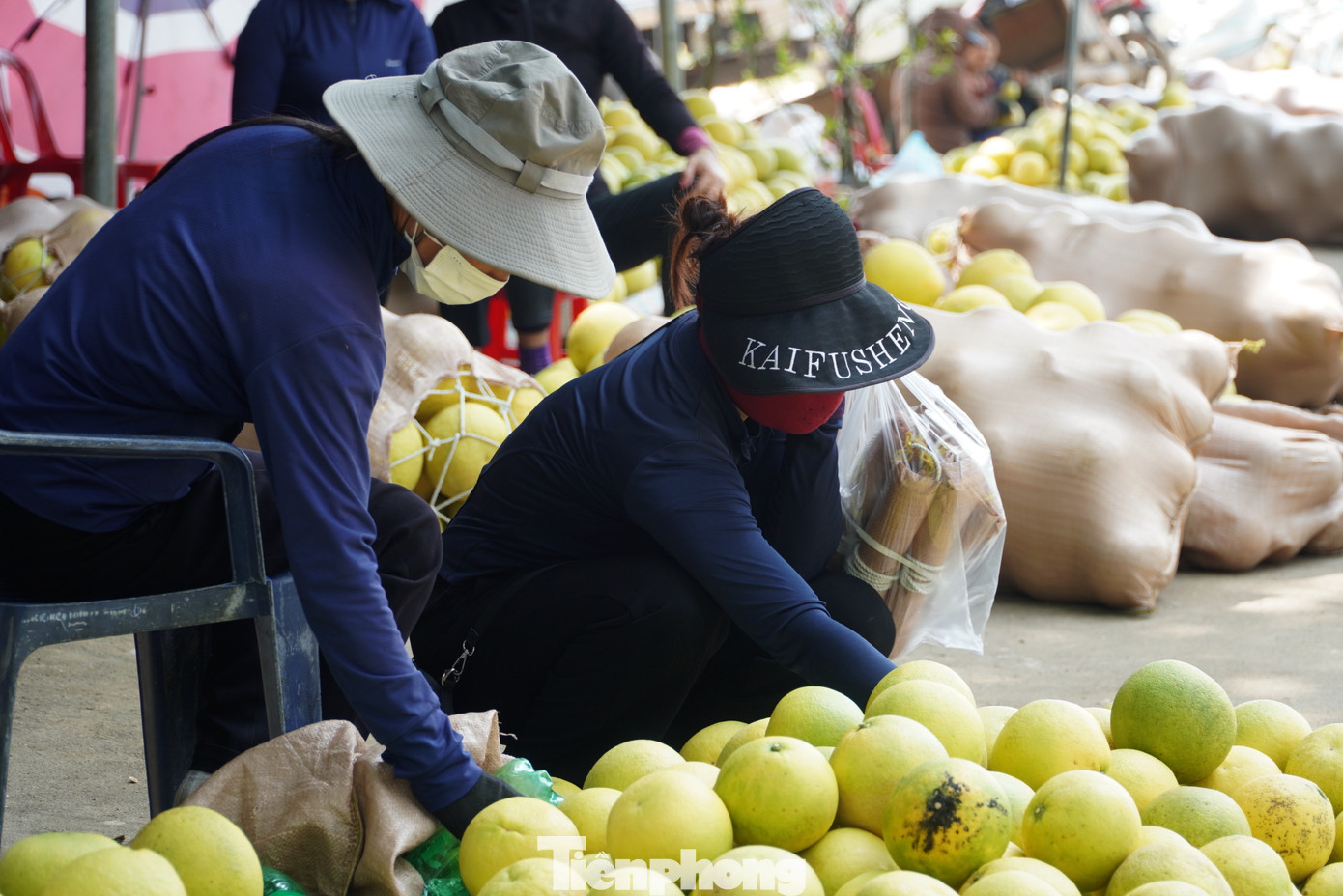 Những ngày này người dân trồng bưởi thu hoạch, mang ra khu vực này để bán.