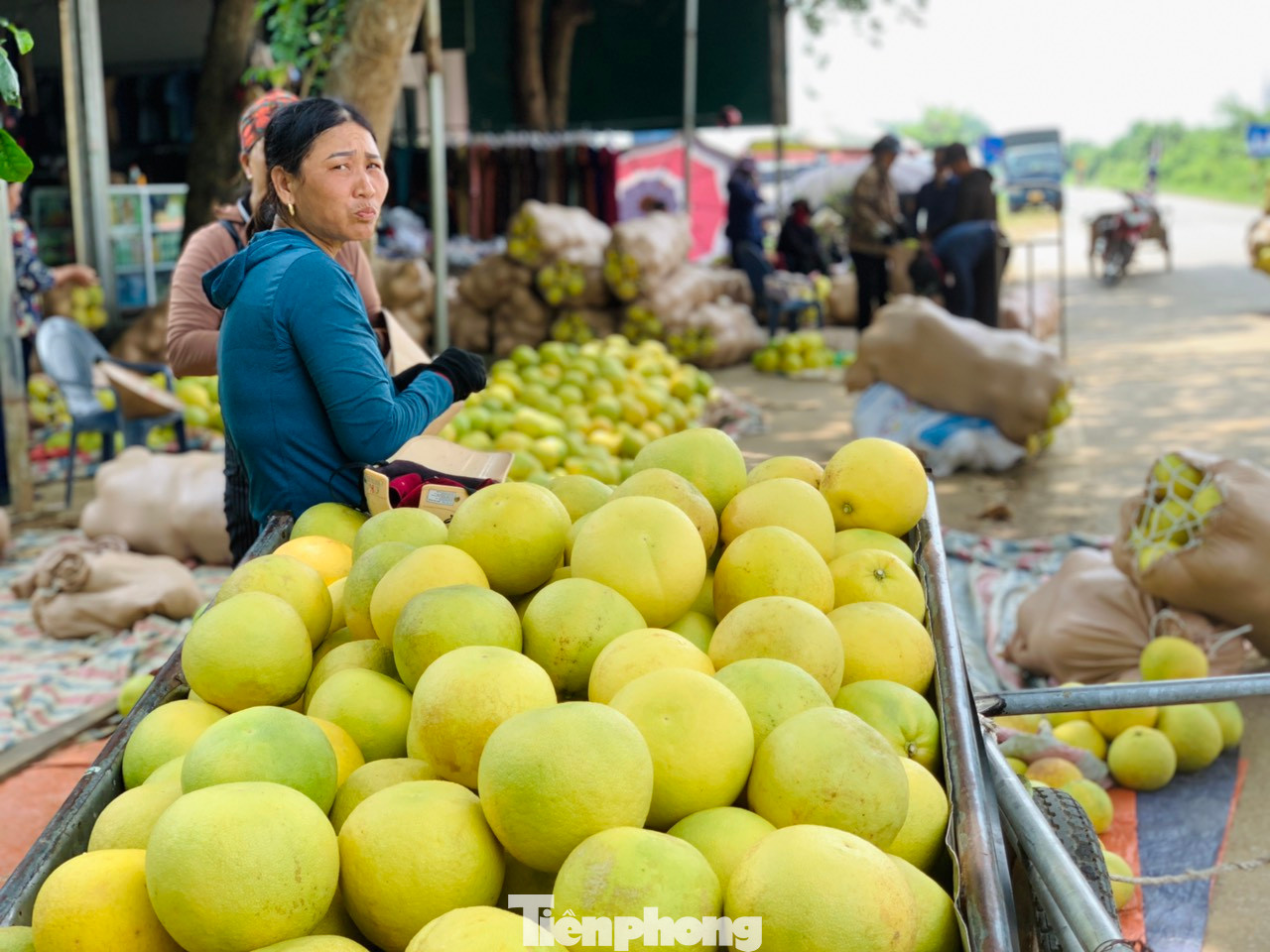 Bưởi Phúc Trạch lâu nay là một trong những cây trồng chủ lực, phát triển kinh tế chính của người dân huyện Hương Khê (Hà Tĩnh). Toàn huyện Hương Khê hiện có khoảng 2.700 ha trồng bưởi Phúc Trạch, chủ yếu tập trung ở các xã Phúc Trạch, Hương Trạch, Lộc Yên, Hương Thủy…