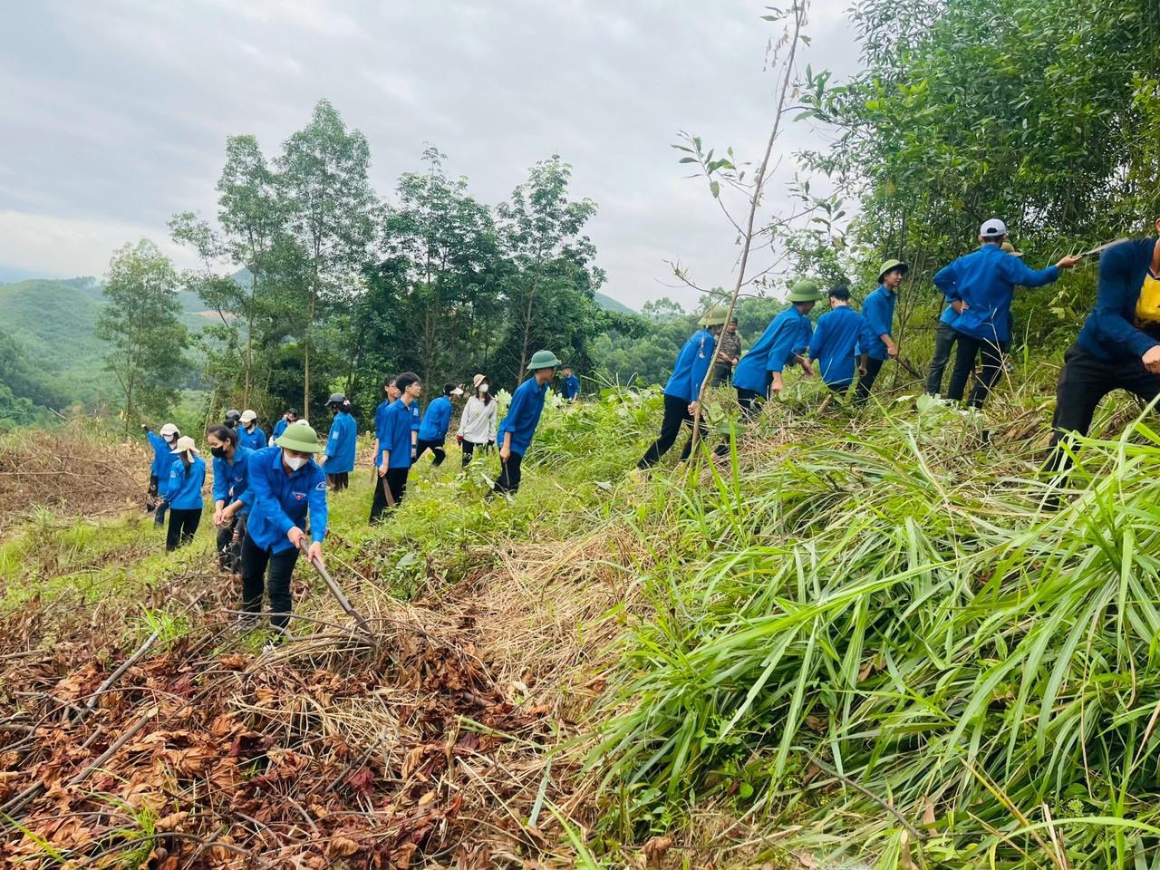 Tại huyện Thạch Hà, gần 20 đoàn viên thanh niên đã cùng ra quân hỗ trợ phát quang hành lang cây tại khu vực đất đồi của gia đình ông Dương Đình Cảnh (SN 1969, trú thôn Kim Sơn, xã Lưu Vĩnh Sơn) nằm trong vị trí giải phóng mặt bằng dự án. Tại huyện Thạch Hà, gần 20 đoàn viên thanh niên đã cùng ra quân hỗ trợ phát quang hành lang cây tại khu vực đất đồi của gia đình ông Dương Đình Cảnh (SN 1969, trú thôn Kim Sơn, xã Lưu Vĩnh Sơn) nằm trong vị trí giải phóng mặt bằng dự án.