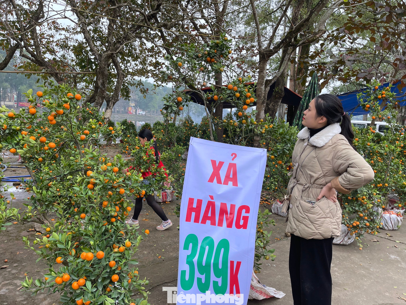 Nhiều người buộc phải xả hàng để thu hồi lại nguồn vốn bỏ ra nhưng sức tiêu thụ vẫn khó khăn.