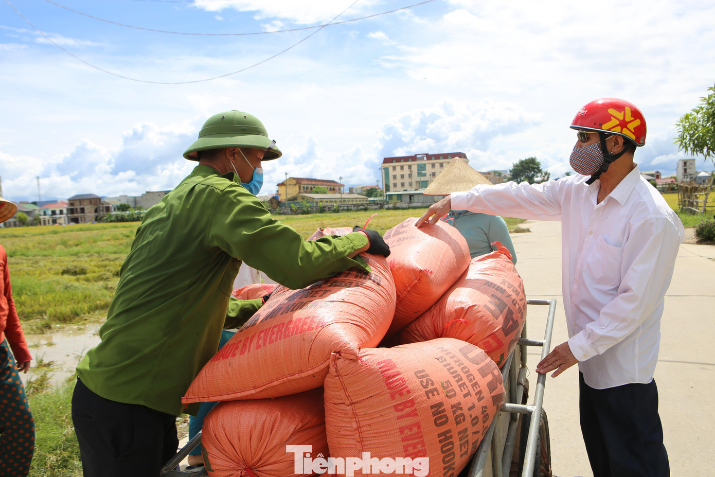 Người dân mỗi người mỗi việc, khẩn trương đưa lúa về nhà để tránh mưa bão.