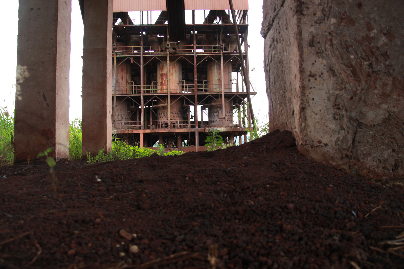 Nhà máy giống như bị lãng quên suốt nhiều năm qua.