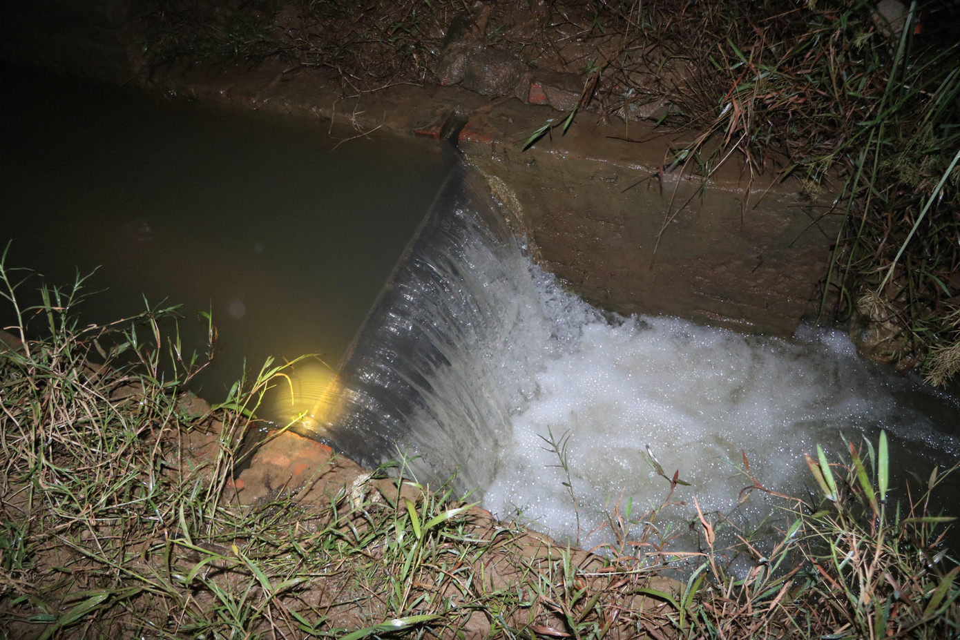 Thời điểm rươi nổi lên mặt nước nhiều nhất là từ 19h-21h. Để đón trước mùa rươi, nhiều người dân tìm cách khoanh vùng đầm, ruộng nước bằng hệ thống lưới rào chắc chắn.