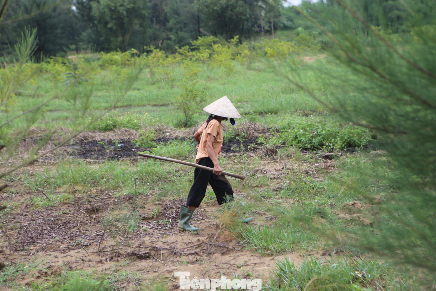 Để tìm được hang dế ở, người dân phải đi các cánh đồng trống hoặc bãi cát bồi nơi dế thường hay làm hang trú ẩn. Mỗi bước chân đều phải đảo mắt nhìn kỹ xuống đất để tìm hang.