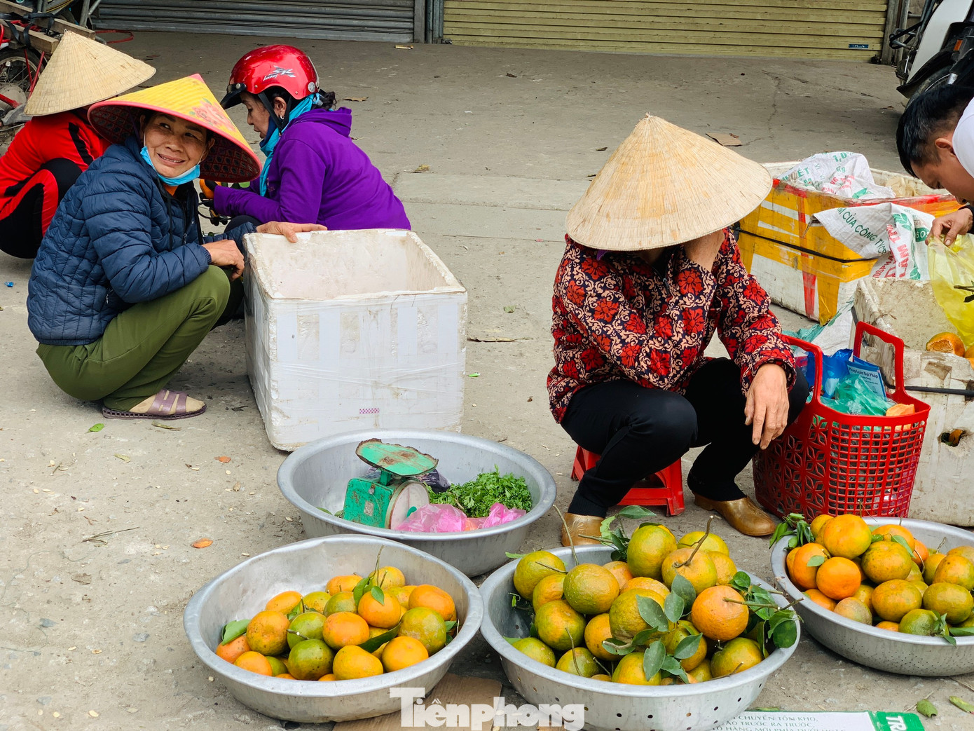 Tranh thủ thời điểm lượng người mua làm quà sau Tết nhiều, người dân thu hái cả ngày để mang ra các con đường để bán cam.