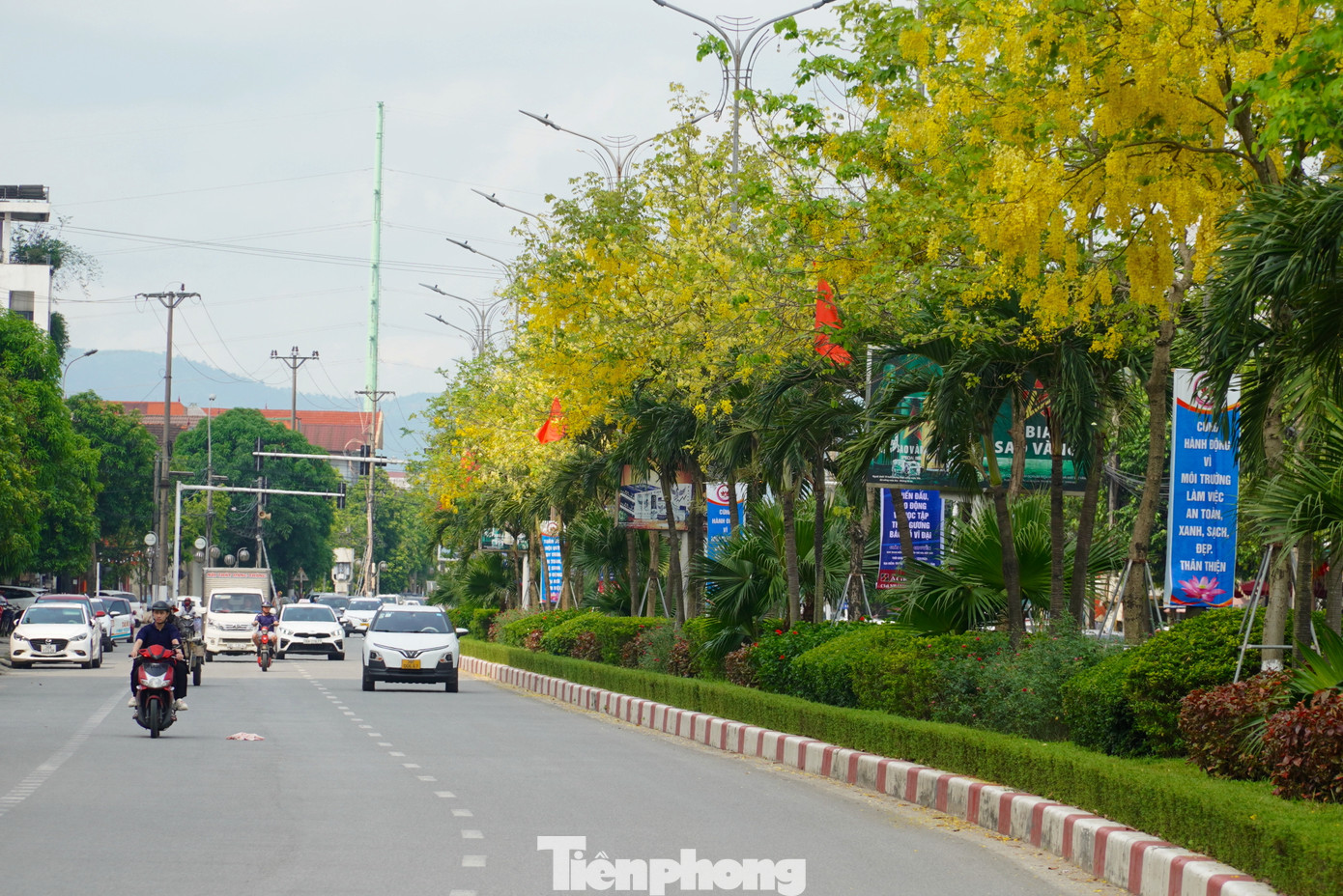 Đặc biệt, dọc đường Hàm Nghi, thành phố Hà Tĩnh nơi trồng hàng trăm gốc muồng hoàng yến đang được nhuộm sắc vàng, khung cảnh trở nên nổi bật.