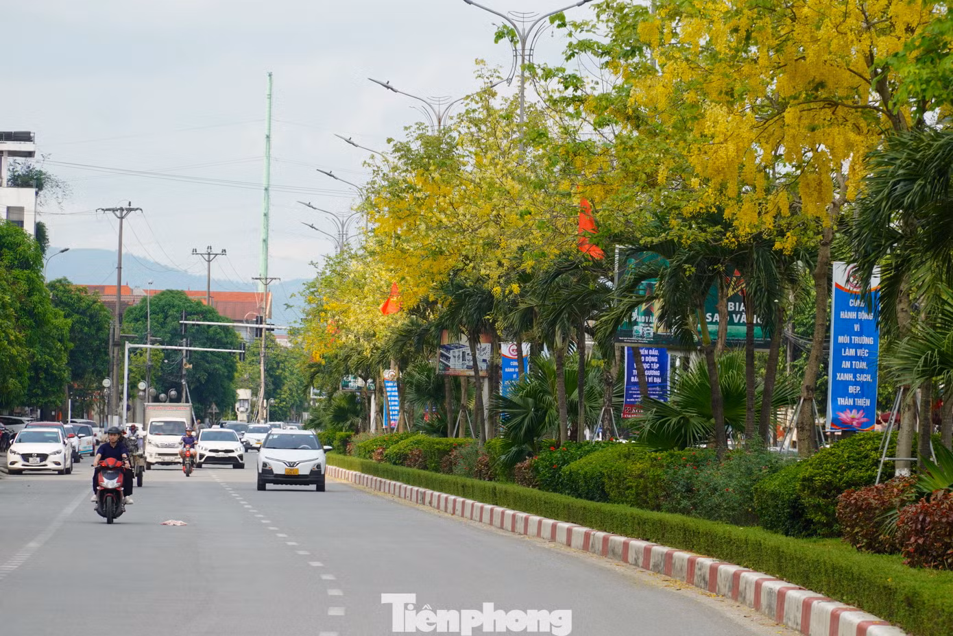 Đặc biệt, dọc đường Hàm Nghi, thành phố Hà Tĩnh nơi trồng hàng trăm gốc muồng hoàng yến đang được nhuộm sắc vàng, khung cảnh trở nên nổi bật.