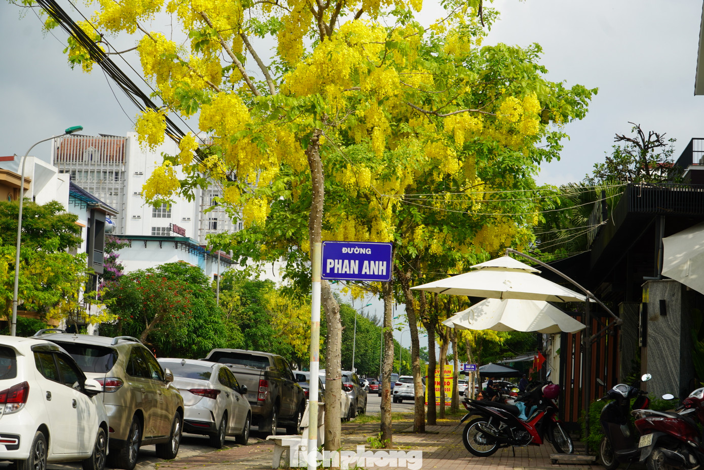 Lối dẫn vào đường Phan Anh cũng có nhiều gốc hoa muồng hoàng yến đang khoe sắc rực rỡ.