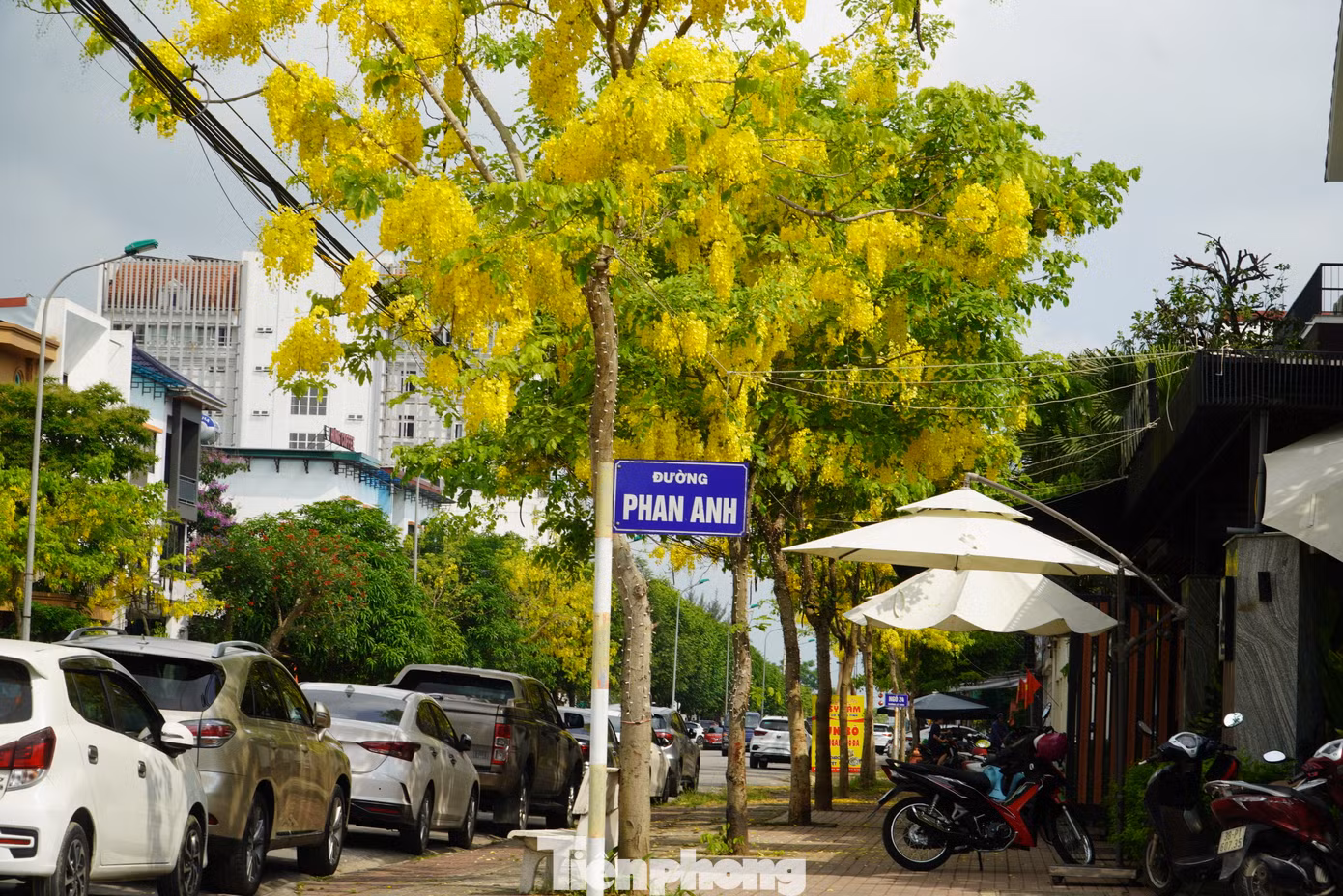 Lối dẫn vào đường Phan Anh cũng có nhiều gốc hoa muồng hoàng yến đang khoe sắc rực rỡ.