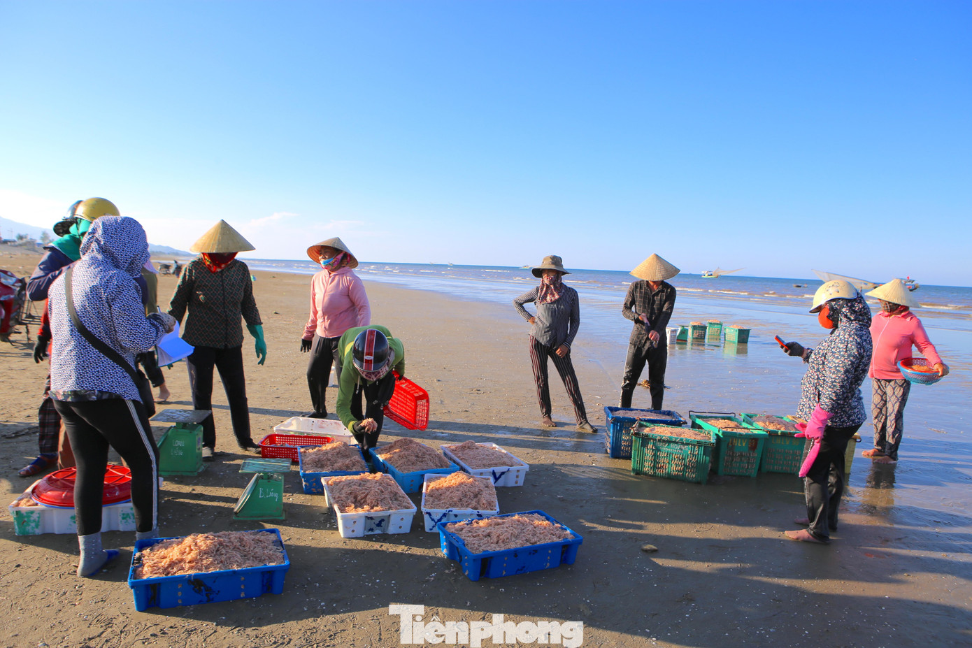 Ngư dân Thạch Kim cho hay, ruốc năm nay đến sớm hơn mọi năm. Những ngày cuối tháng 9 ruốc đã bắt đầu nhiều.