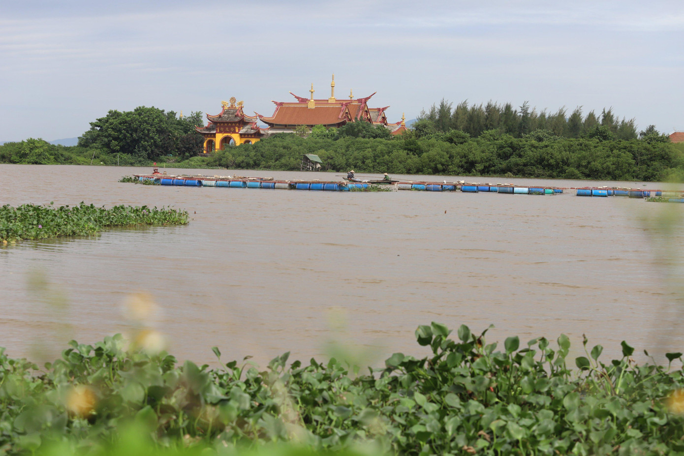 Tại xã Thạch Hạ, TP Hà Tĩnh, người dân nuôi cá lồng trên sông Hộ Độ đã chuyển cá vào các ao nuôi trong đê, để tránh bị sốc nước khi mưa lớn.