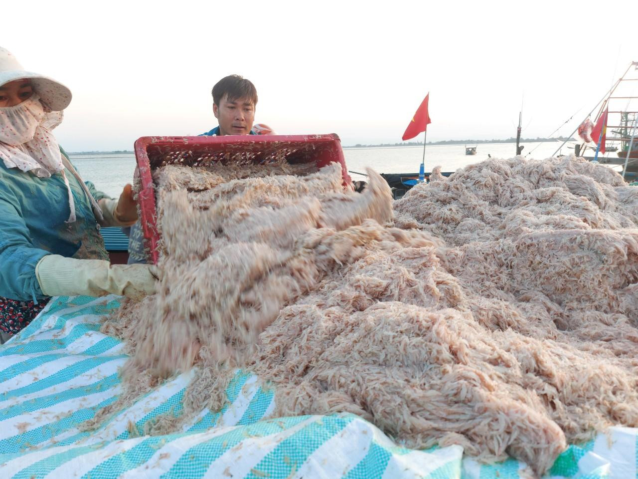 Ngư dân đánh bắt ruốc di chuyển ra biển từ lúc 17h ngày hôm trước và trở về lúc 5 giờ sáng hôm sau. Cũng có một số ngư dân đi vào rạng sáng và về trong buổi trưa hoặc chiều cùng ngày. Ngư dân đánh bắt ruốc di chuyển ra biển từ lúc 17h ngày hôm trước và trở về lúc 5 giờ sáng hôm sau. Cũng có một số ngư dân đi vào rạng sáng và về trong buổi trưa hoặc chiều cùng ngày.