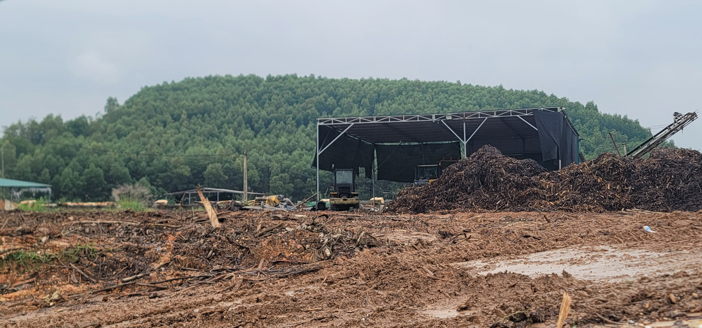 Công ty Dịch vụ thương mại Ngàn Phố kinh doanh gỗ băm dăm trái phép. Công ty Dịch vụ thương mại Ngàn Phố kinh doanh gỗ băm dăm trái phép.