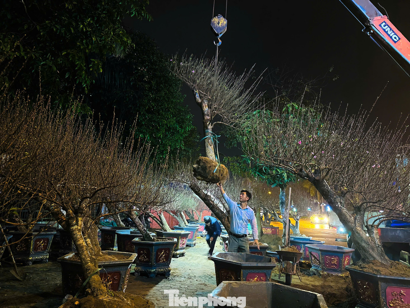 Những tiểu thương đang tất bật tưới nước, chuyển hoa từ xe xuống. Những tiểu thương đang tất bật tưới nước, chuyển hoa từ xe xuống.