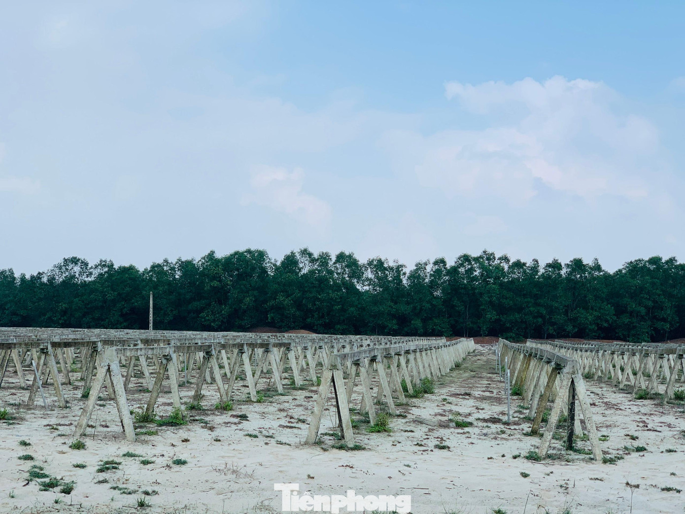 Dự án chống sa mạc hóa nay hoang tàn.