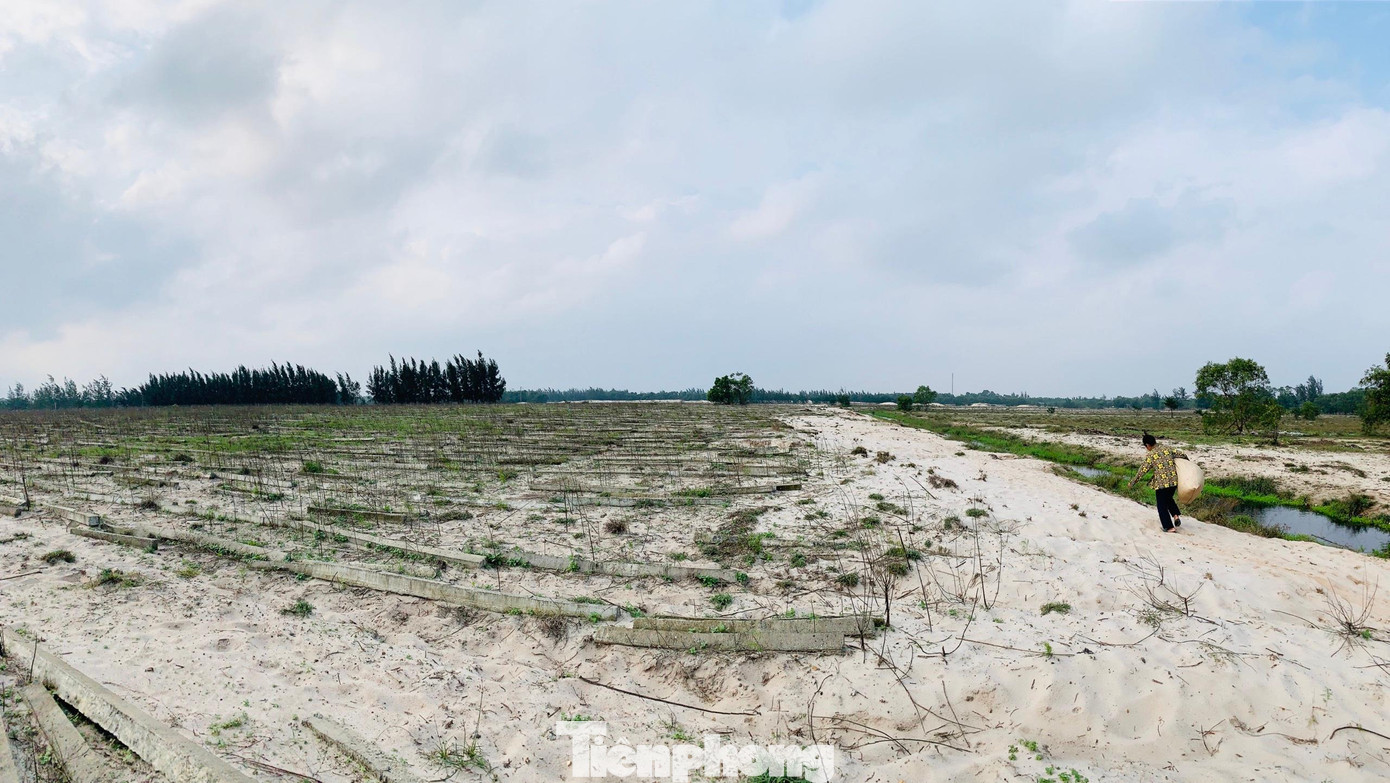 Cảnh hoang tàn tại vùng đất nằm trong dự án trồng rau trên cát.