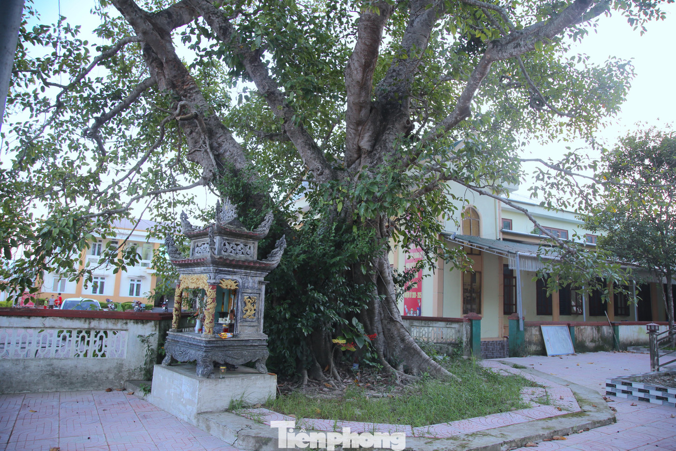 Theo sử sách ghi lại, vào cuối thế kỷ XVIII đời Hậu Lê đến cuối thế kỷ XIX đời nhà Nguyễn, tại vùng đất Hộ Độ có 3 vị tướng của dòng họ Nguyễn góp công lớn trong việc trấn ải vùng biển Cửa Sót và dòng sông Hạ Hoàng. Sau khi 3 vị tướng này qua đời, vua Khải Định sắc phong "Quang Y Dực Bảo Trung Hưng Hoàng Thượng Đằng Thần" và là vị Thành Hoàng của làng. Từ đó, nhân dân trong vùng đã lập đền thờ 3 vị gọi là đền Tam Lang với 2 cây đa trồng ở trước cổng đền. Trải qua biến cố lịch sử, trước đền thờ 3 vị Thành Hoàng chỉ còn lại 1 cây đa sống đến thời điểm này.