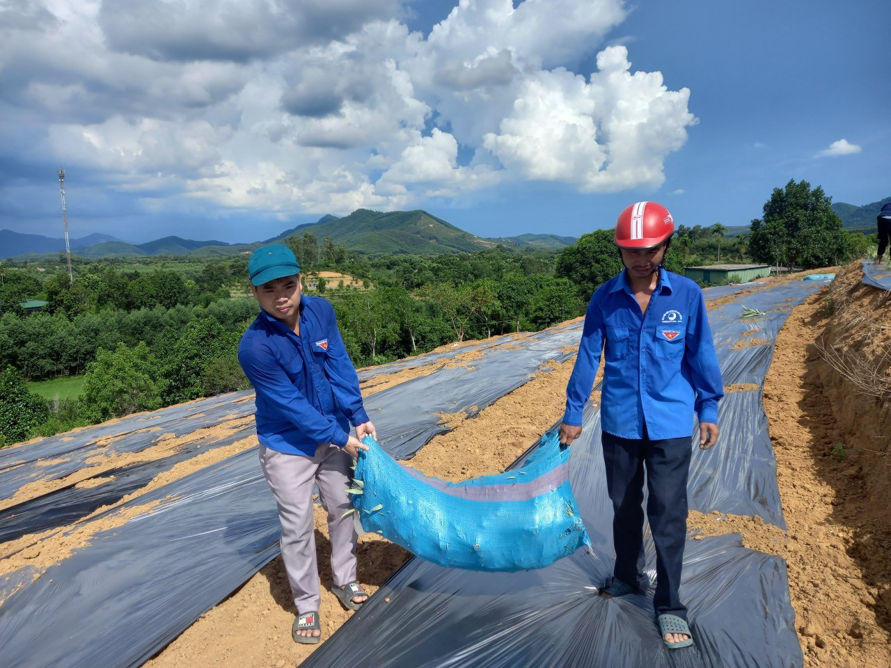 Trong điều kiện thời tiết nắng nóng, những đoàn viên thanh niên vẫn hăng say làm việc.