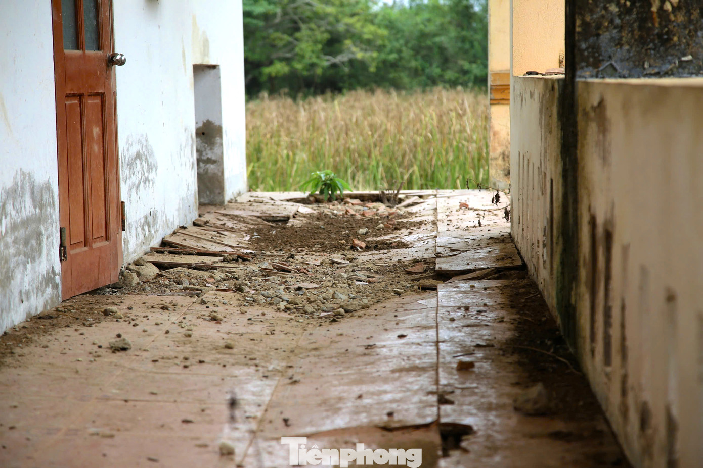 Mục tiêu khi xây trường để bảo đảm nhu cầu học cho 600 em học sinh. Tuy nhiên, sau khi xây dựng xong, học sinh giảm theo từng năm, năm nhiều nhất là hơn 100 em học sinh theo học. Mục tiêu khi xây trường để bảo đảm nhu cầu học cho 600 em học sinh. Tuy nhiên, sau khi xây dựng xong, học sinh giảm theo từng năm, năm nhiều nhất là hơn 100 em học sinh theo học.