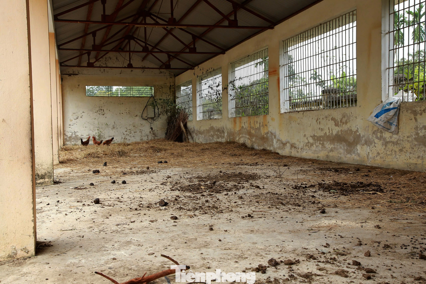 Hiện nay, trung tâm đã bỏ hoang, trở nên nhếch nhác, hoang tàn. Hiện nay, trung tâm đã bỏ hoang, trở nên nhếch nhác, hoang tàn.