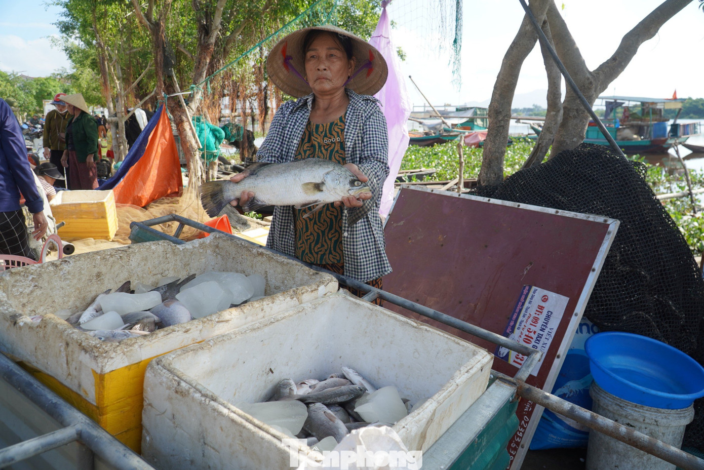 Bà Nguyễn Thị Lộc (57 tuổi, trú thôn Song Hải) cũng bị thiệt hại khoảng 2.000 con cá vược và cá hồng. Bà Lộc cho hay, số cá này chuẩn bị thu hoạch, hiện nay đã chết trắng khiến gia đình thất thoát hàng trăm triệu đồng.