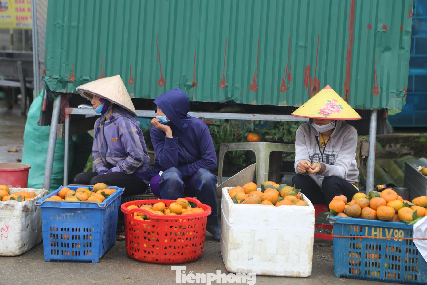 Theo thống kê của UBND huyện Hương Sơn, năng suất năm nay ước đạt sản lượng ước trên 10.000 tấn, giá trị sản xuất hơn 300 tỷ đồng.