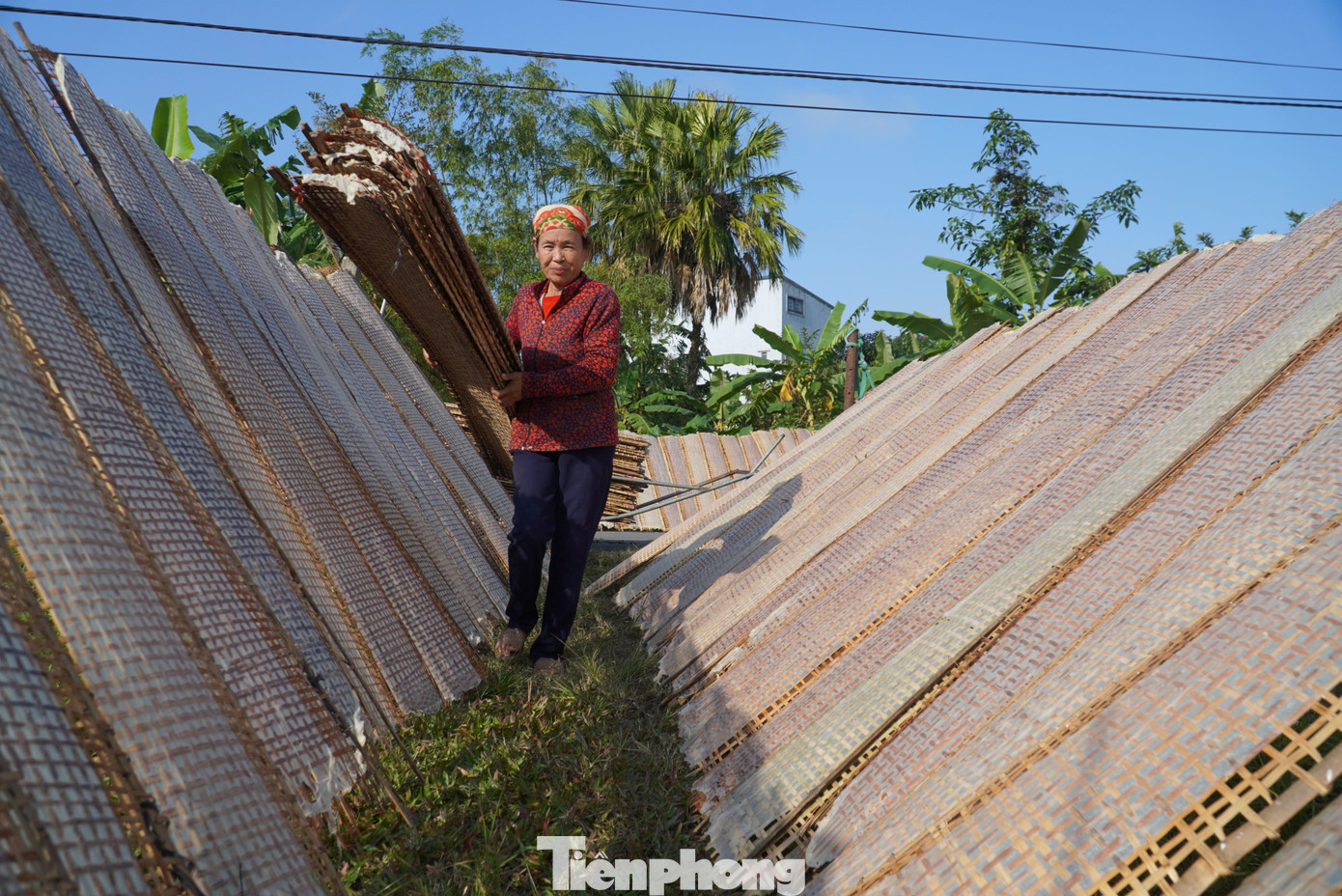 Vào mùa hè, bánh chỉ phơi 1-2 giờ đồng hồ sẽ đưa vào đóng gói, nhưng mùa đông phải phơi khoảng 3 giờ đồng hồ. Quá trình phơi người dân lật từng tấm phên để tránh bánh không bị quá giòn, hay còn ẩm ướt.