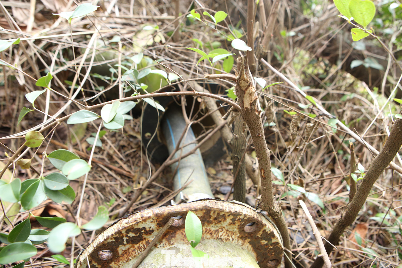 Đường ống dẫn nước thô vào nhà máy hư hỏng.