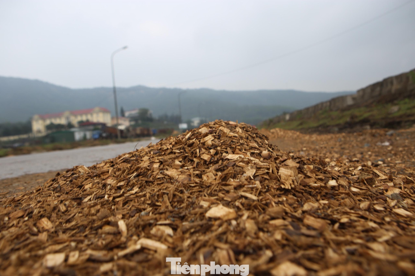 Tình trạng dăm gỗ rơi vãi dọc tuyến đường quốc lộ vào cảng xảy ra trong nhiều năm qua.