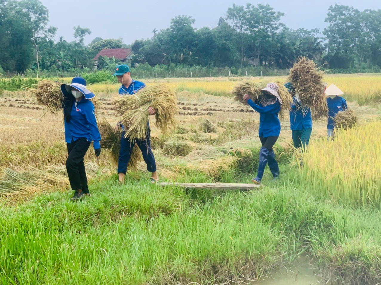 Đây là việc làm thiết thực, ý nghĩa, thể hiện tinh thần tiên phong, tình nguyện của tuổi trẻ Hà Tĩnh, đồng thời nâng cao tinh thần đoàn kết, gần gũi giữa đoàn viên thanh niên với nhân dân, tô đậm thêm hình ảnh màu áo xanh tình nguyện tại huyện miền núi Hà Tĩnh.