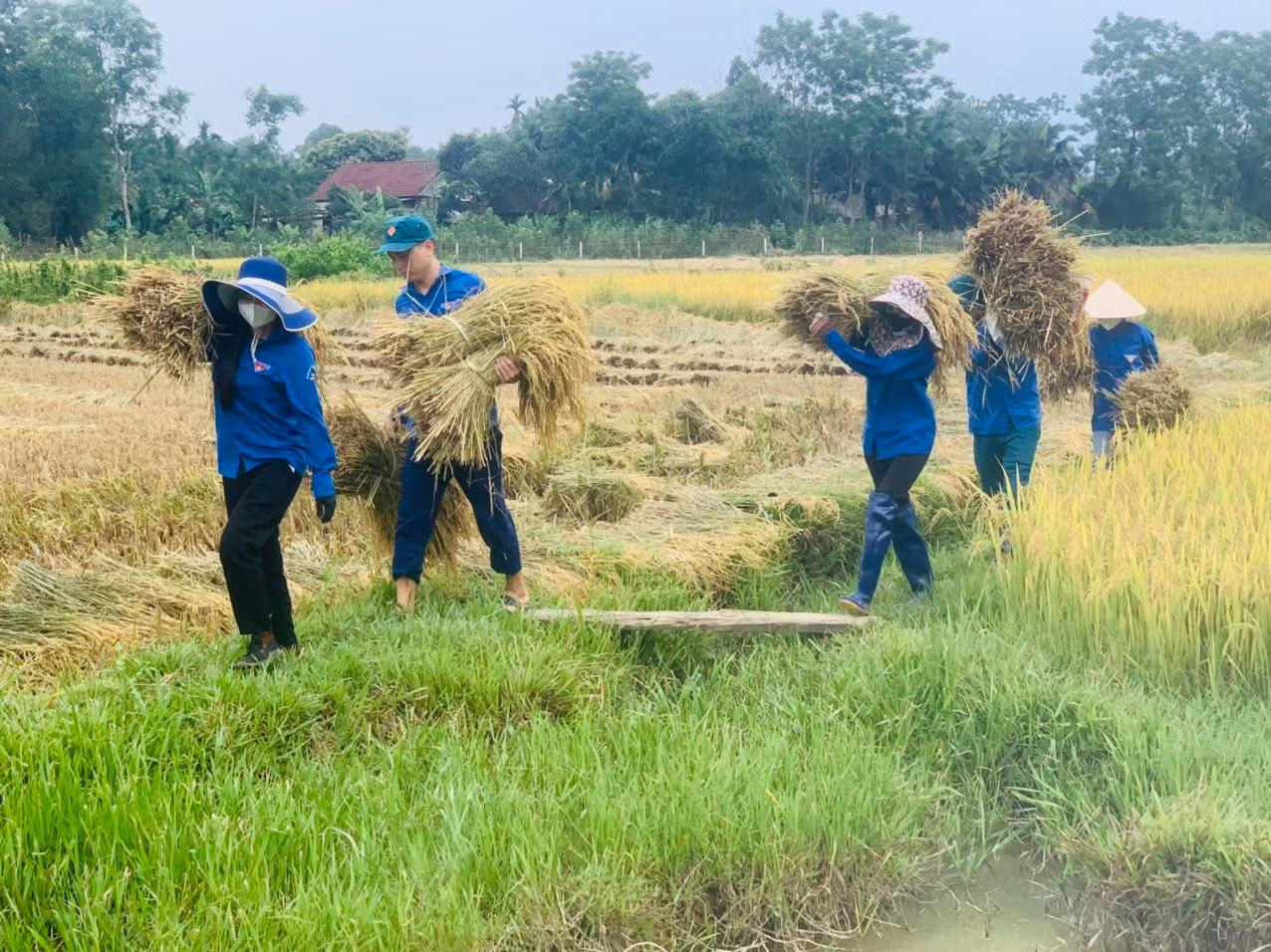 Đây là việc làm thiết thực, ý nghĩa, thể hiện tinh thần tiên phong, tình nguyện của tuổi trẻ Hà Tĩnh, đồng thời nâng cao tinh thần đoàn kết, gần gũi giữa đoàn viên thanh niên với nhân dân, tô đậm thêm hình ảnh màu áo xanh tình nguyện tại huyện miền núi Hà Tĩnh.