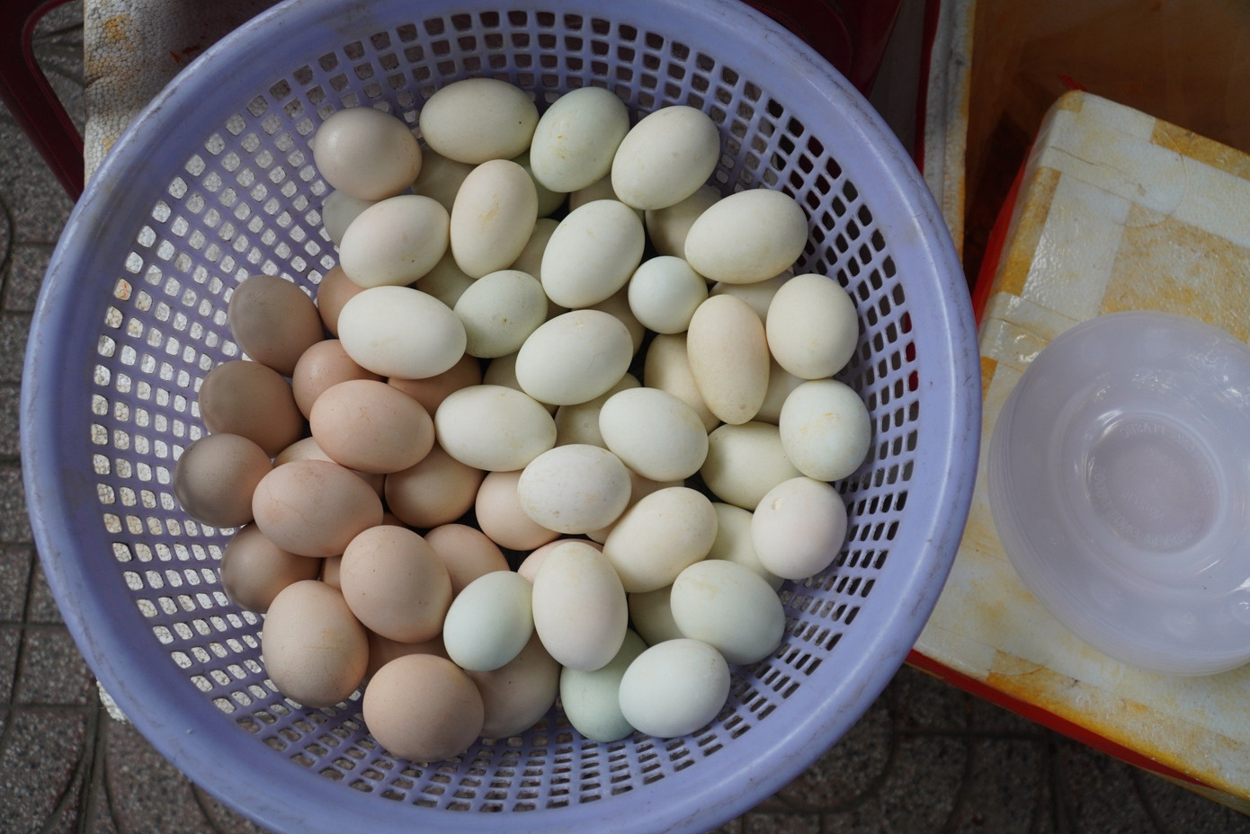 Theo người bán, mâm tam sên gồm 3 con tôm càng, một miếng thịt heo và 3 quả trứng luộc. Theo người bán, mâm tam sên gồm 3 con tôm càng, một miếng thịt heo và 3 quả trứng luộc.