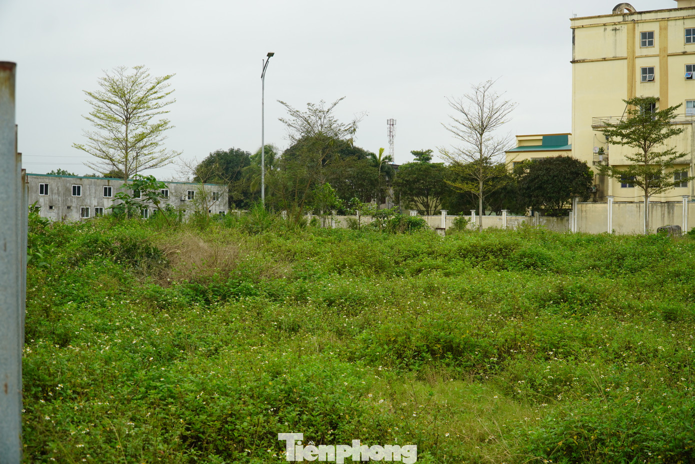 Sau hơn 6 năm được chấp thuận đầu tư, toàn bộ khu đất Dự án Trung tâm thương mại, khách sạn, Villa BMC chỉ là một bãi đất hoang, cỏ mọc um tùm.