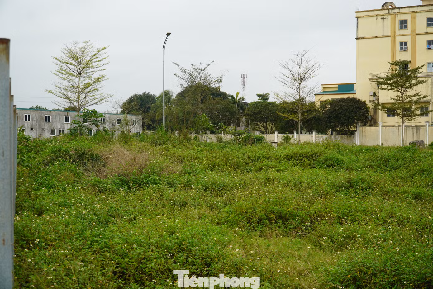 Sau hơn 6 năm được chấp thuận đầu tư, toàn bộ khu đất Dự án Trung tâm thương mại, khách sạn, Villa BMC chỉ là một bãi đất hoang, cỏ mọc um tùm. Sau hơn 6 năm được chấp thuận đầu tư, toàn bộ khu đất Dự án Trung tâm thương mại, khách sạn, Villa BMC chỉ là một bãi đất hoang, cỏ mọc um tùm.