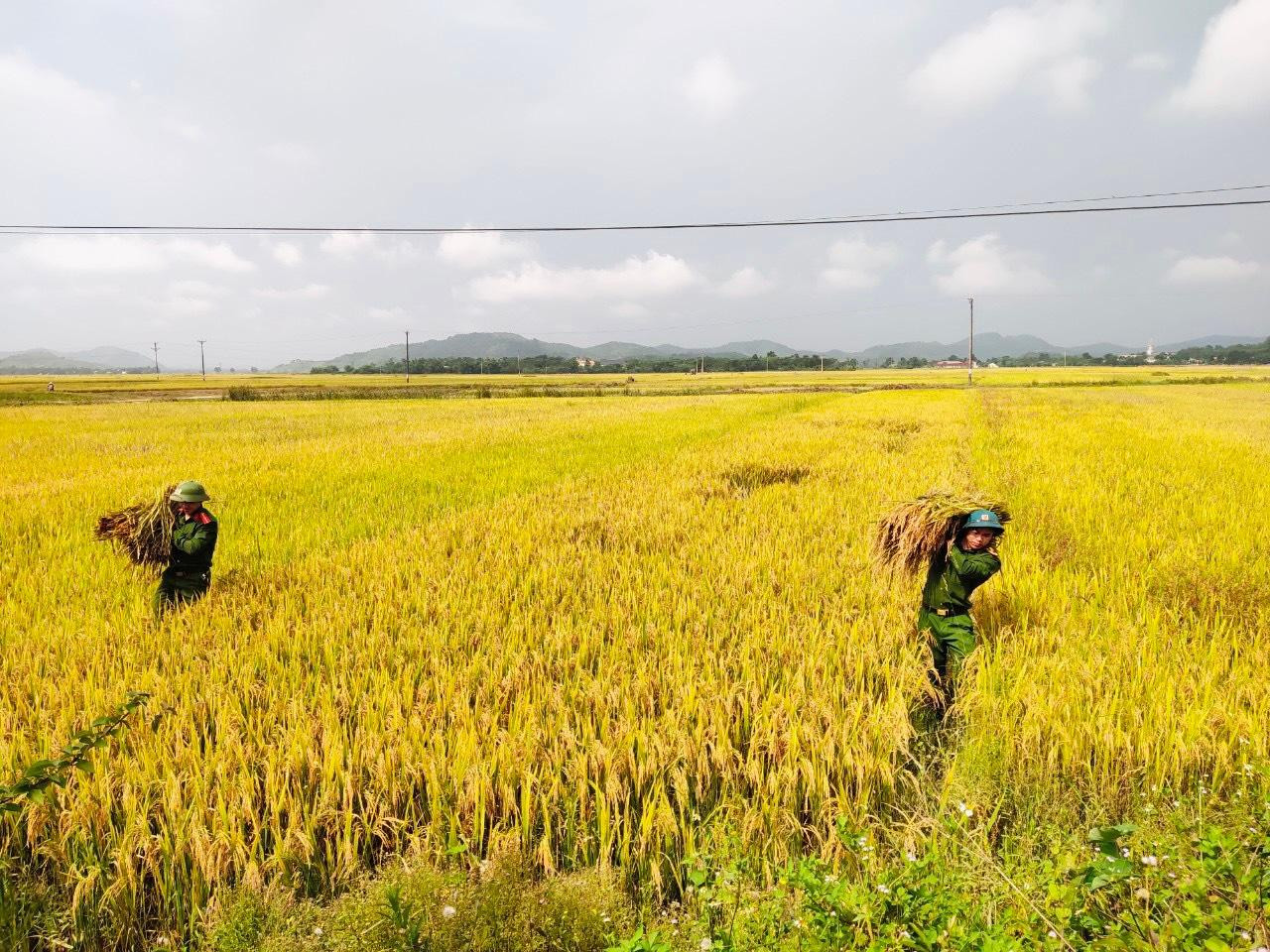 “Chúng tôi sẽ tiếp tục triển khai hoạt động trong những ngày tiếp theo. Đây là nhiệm vụ, trách nhiệm, anh em chiến sĩ công an cố gắng làm để giúp đỡ người dân, đặc biệt những gia đình khó khăn, người già, sức khoẻ yếu thiếu sức lao động…”, đại uý Đức chia sẻ.