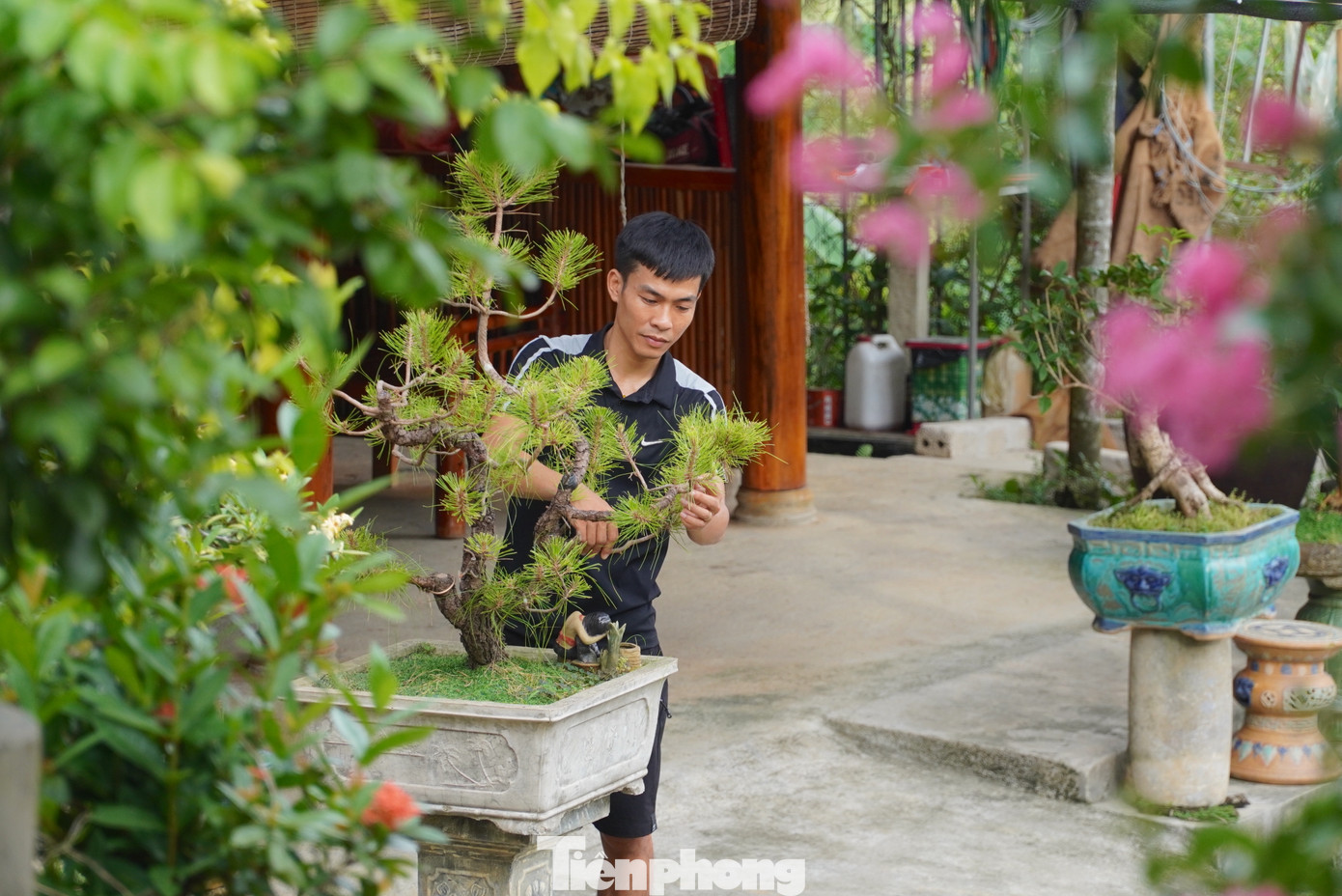 Từ số vốn 5 triệu đồng, anh bắt đầu đi vào các khu vực dân cư ở miền núi Hương Sơn để mua hoa mẫu đơn, sau đó về trồng tại vườn, chăm bón, tạo dáng để bán lại cho khách.