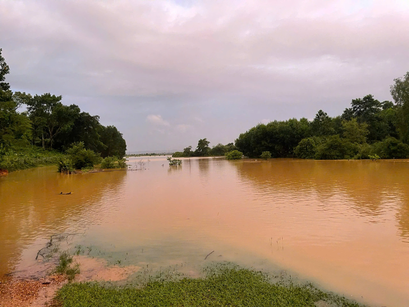 Hình ảnh cánh đồng ngập nước tại xã Hà Linh.