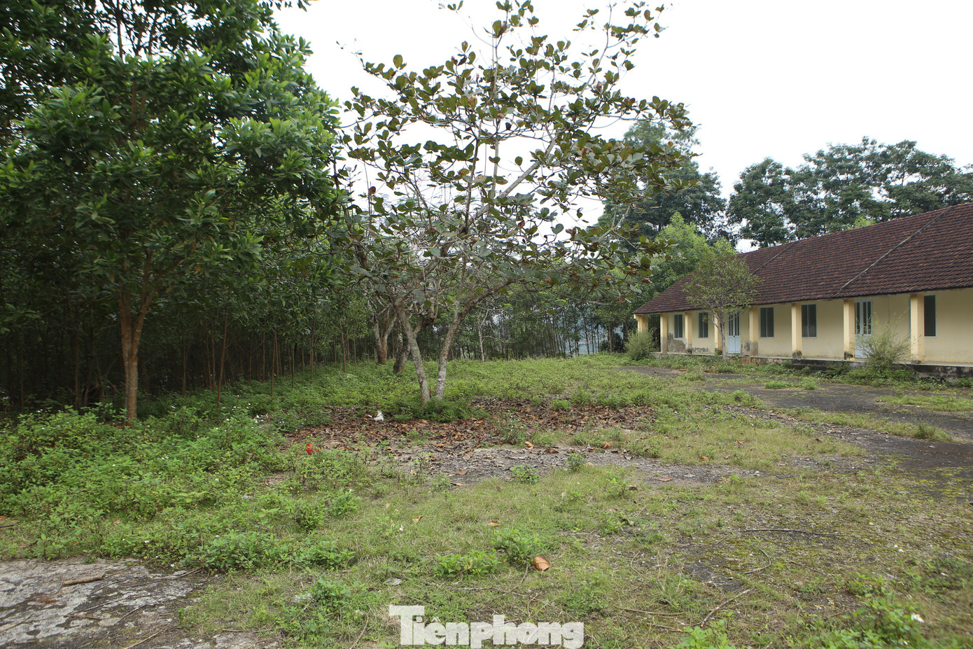 Nhà máy được xây dựng gồm dãy nhà điều hành, phòng đặt máy móc chế biến, hệ thống chuồng nuôi thỏ giống, nhà ở cho cán bộ nhân viên... Khi đi vào hoạt động, dự án đặt ra mục tiêu chế biến thịt thỏ New Zealand Rata với công suất 400-800 ngàn con/năm. Sau đó sẽ chuyển giao công nghệ, kỹ thuật chăn nuôi cho người dân.