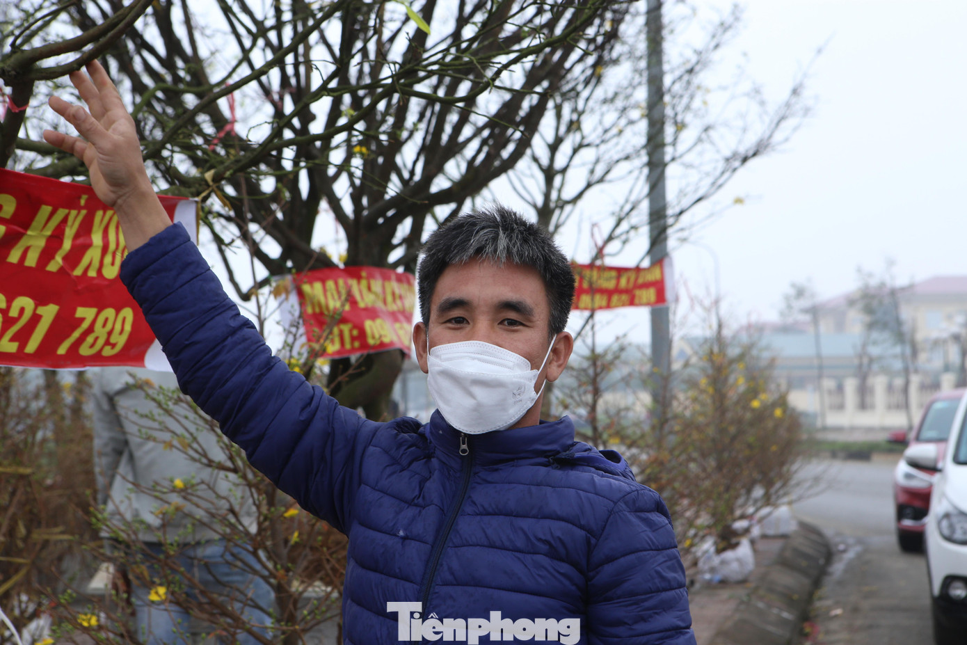 Anh Bùi Xuân Công (xã Kỳ Xuân, thị xã Kỳ Anh) năm nay vận chuyển 9 cây mai “khủng” có độ tuổi từ 30-60 năm được trồng ở vườn ra TP Hà Tĩnh để bán. Sau 3 ngày "chào hàng" anh Công đã bán được 3 gốc cho người dân huyện Hương Khê với giá từ 40-80 triệu đồng/gốc.