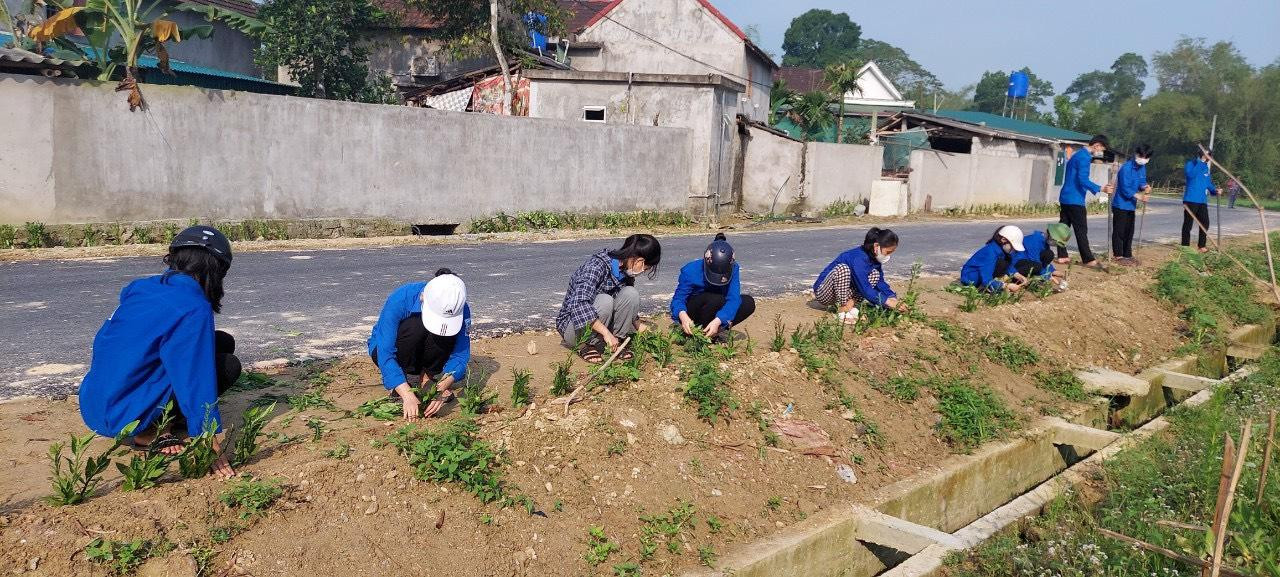 Tại huyện Vũ Quang, đoàn viên thanh niên cùng tham gia trồng hàng rào cây xanh tại các đường làng.